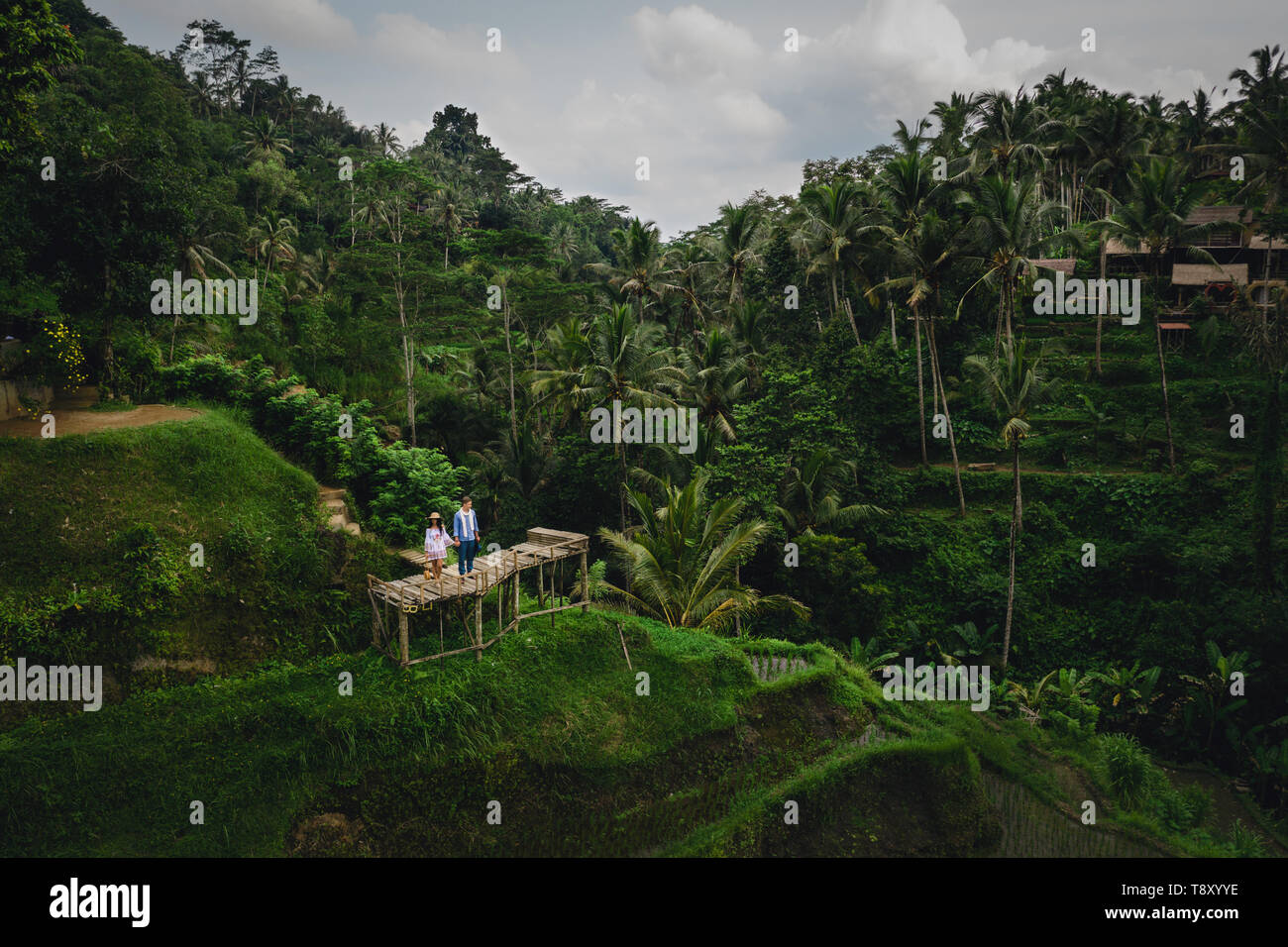 Couple debout sur pont de bois près des terrasses de riz à Bali en Indonésie. Se tenant la main. L'humeur romantique. Vacances tropicales. Vue aérienne. Sur l'arrière-plan Banque D'Images