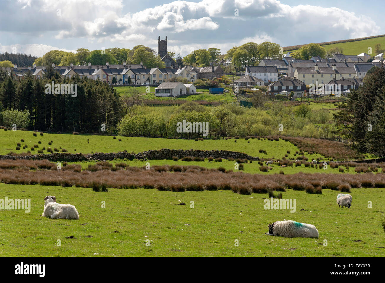 Princetown, Devon, Angleterre, Royaume-Uni. Mai 2019. Le village de Princetown dans le Parc National de Dartmoor. Banque D'Images