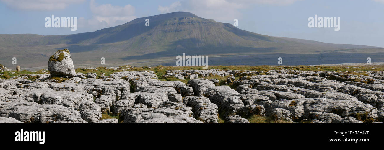 Lapiez - une zone de calcaire érodé par l'eau - sur les balances Moor dans les vallées du Yorkshire, UK, avec Ingleborough dans l'arrière-plan Banque D'Images