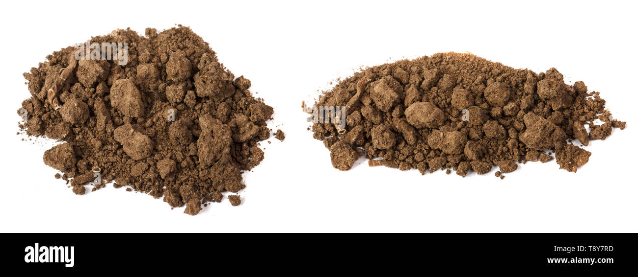 Sol fertile sur un blanc. Set Banque D'Images