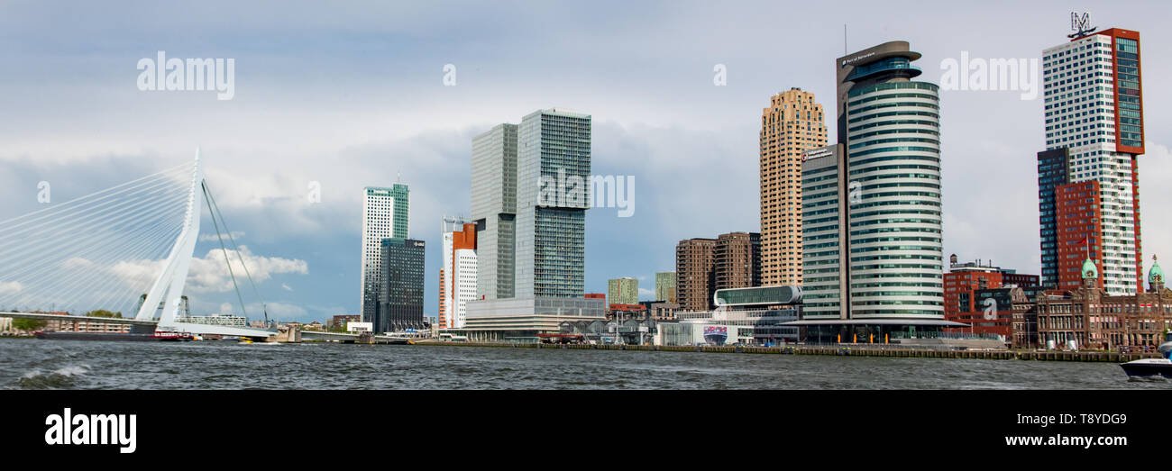 Horizon de Rotterdam - Rotterdam - de pont Erasmus et Nouvelle Meuse - voyage sur la rivière Nouvelle Meuse - port de Rotterdam - Swan bridge - commerce néerlandais Banque D'Images