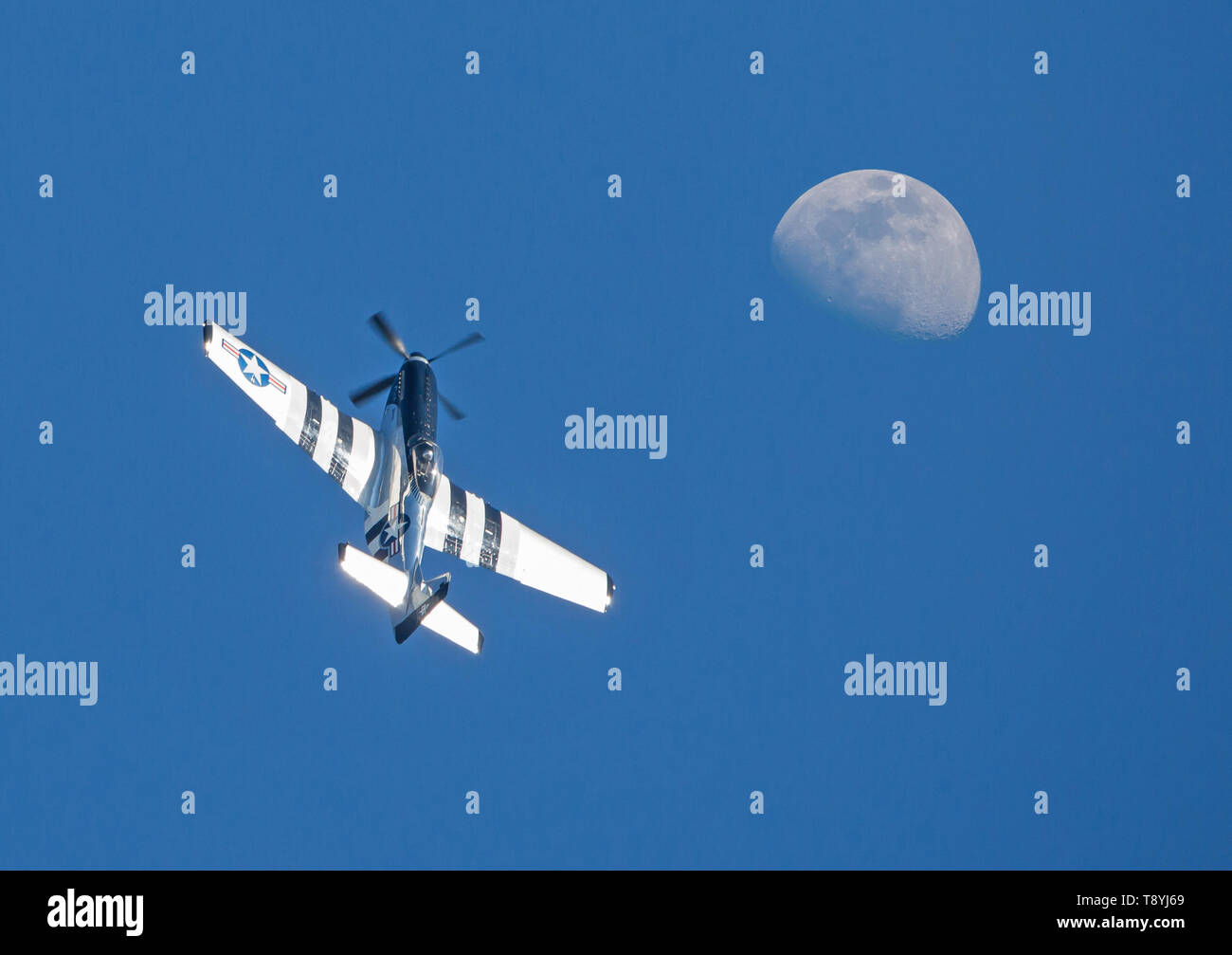 Un avion de chasse P-51 Mustang effectue un voyage tour dans ciel bleu profond sous une Lune gibbeuse. Banque D'Images