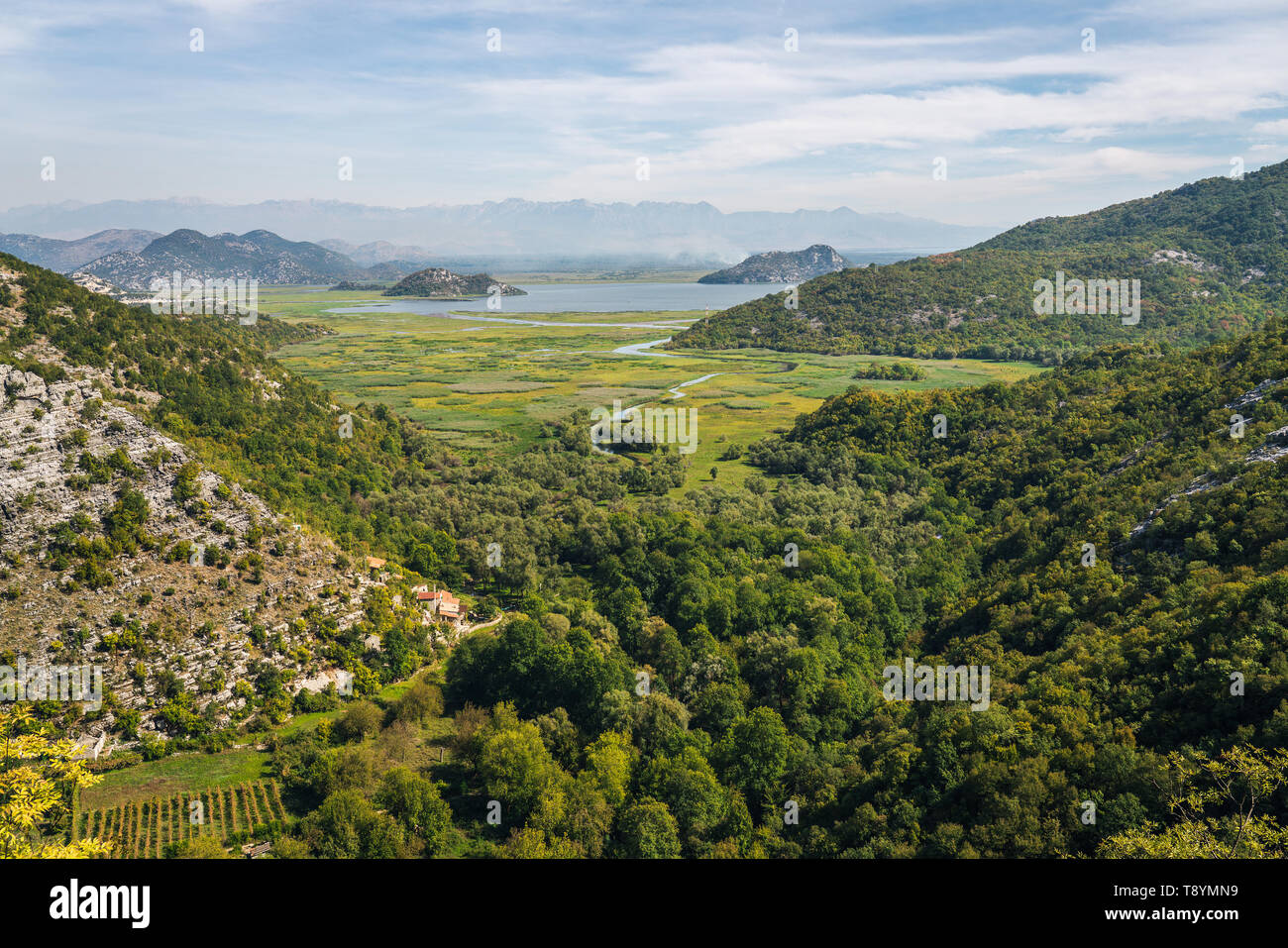 Le lac de Skadar - aussi appelé le lac de Scutari, lac Shkodër et lac Shkodra - se trouve sur la frontière de l'Albanie et le Monténégro, et est le plus grand lac dans le Sud Banque D'Images