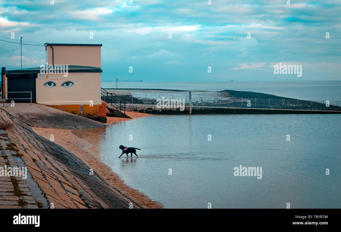 Plage de Concord sur le front de mer de Southend-on-Sea, Essex, Angleterre Banque D'Images