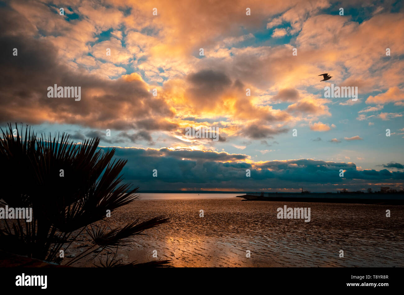 Plage de Concord sur le front de mer de Southend-on-Sea, Essex, Angleterre Banque D'Images