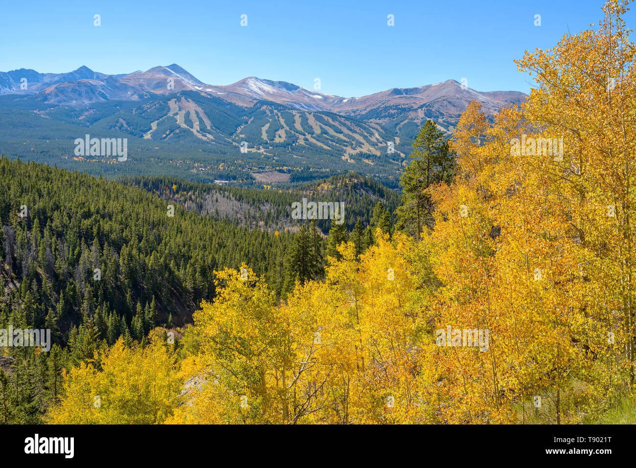 L'automne à Breckenridge - Une vue d'automne de pentes de ski de Breckenridge, Colorado, USA. Banque D'Images