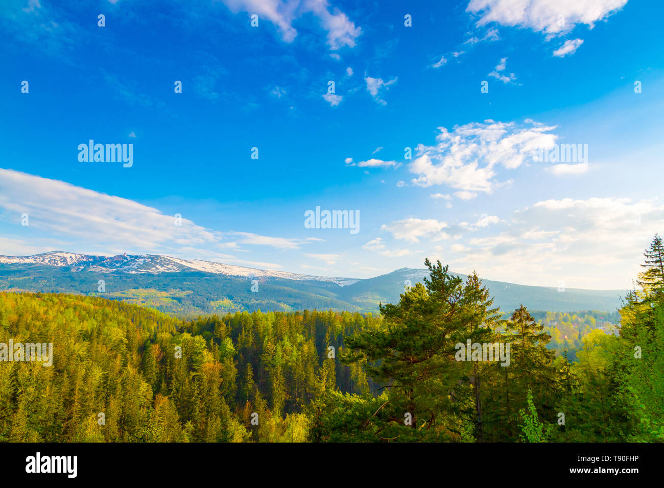 Scenic printemps paysage des monts des Géants - Mounatains Karkonosze, Pologne Banque D'Images