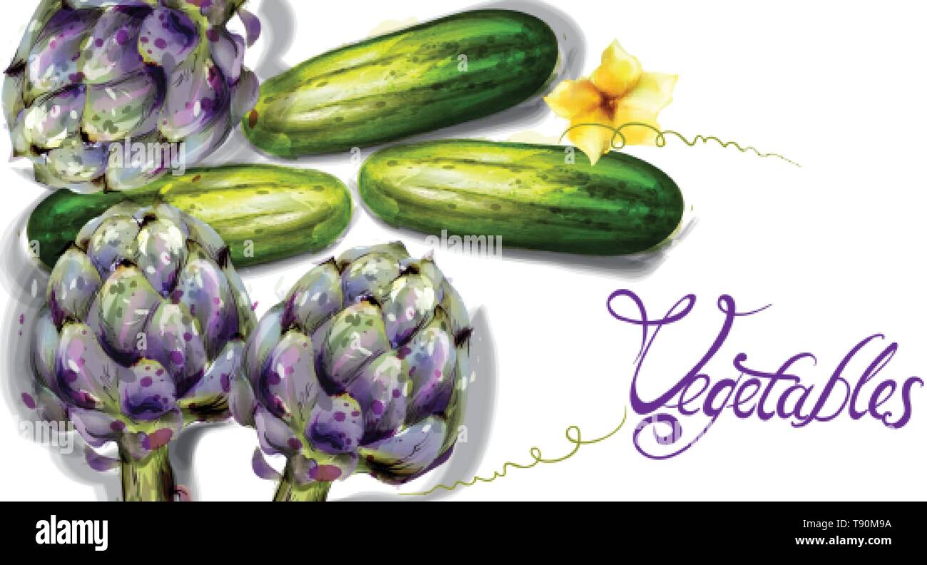 Artichaut et légumes concombre Vector l'aquarelle. Veggie frais Printemps Illustration de Vecteur
