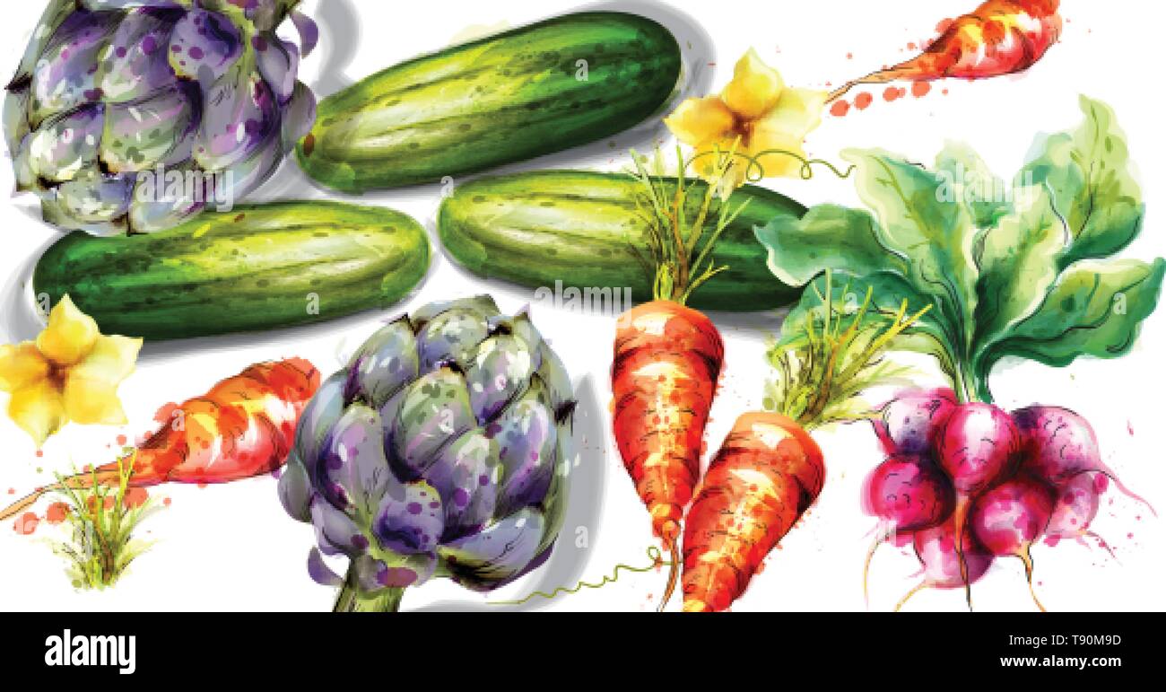 L'artichaut et autres légumes vecteur modèle aquarelle Illustration de Vecteur