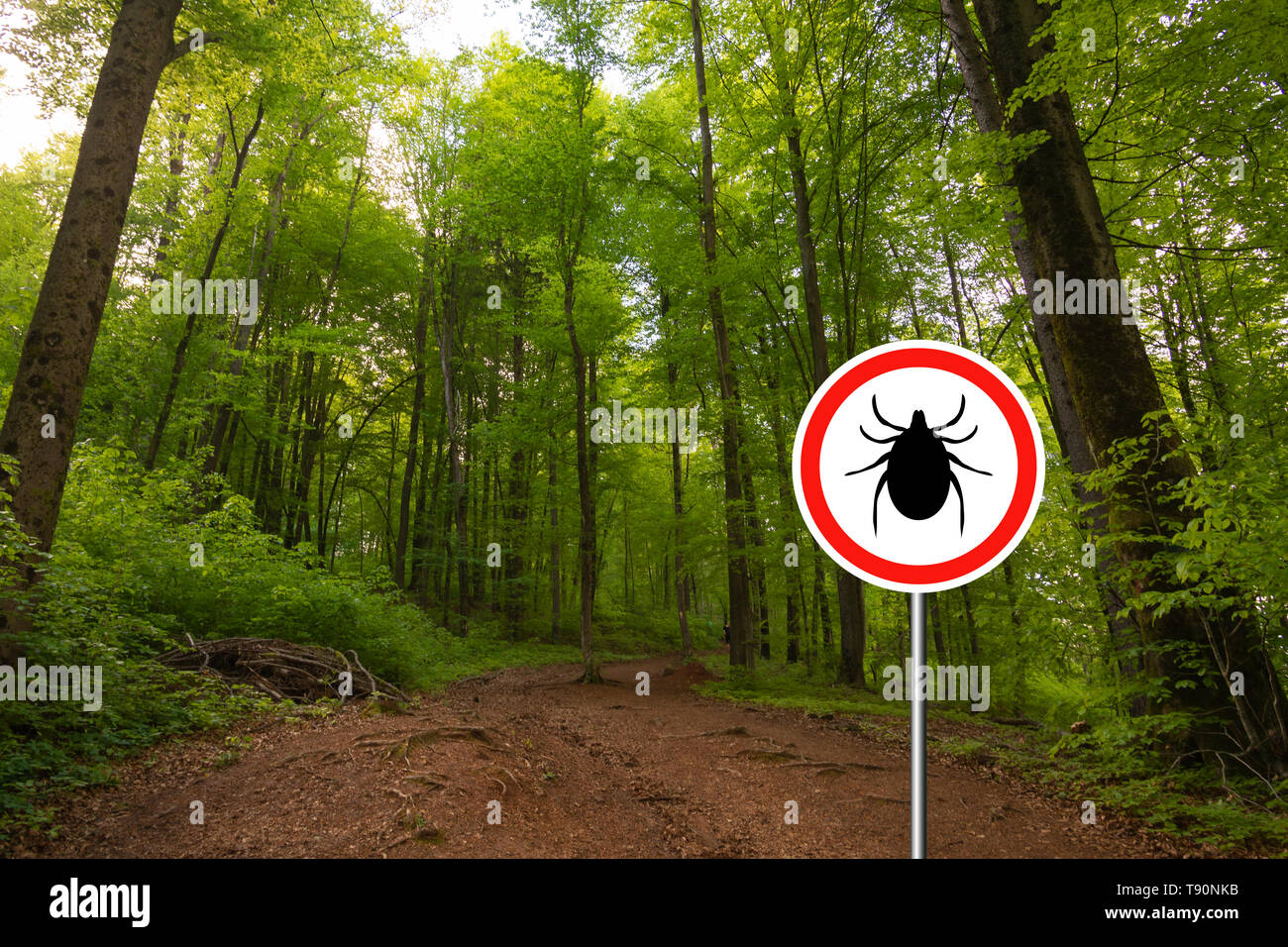Insectes tiques panneau d'avertissement dans la nature de la forêt. La maladie de Lyme et la méningo-encéphalite à tiques émetteur. Banque D'Images