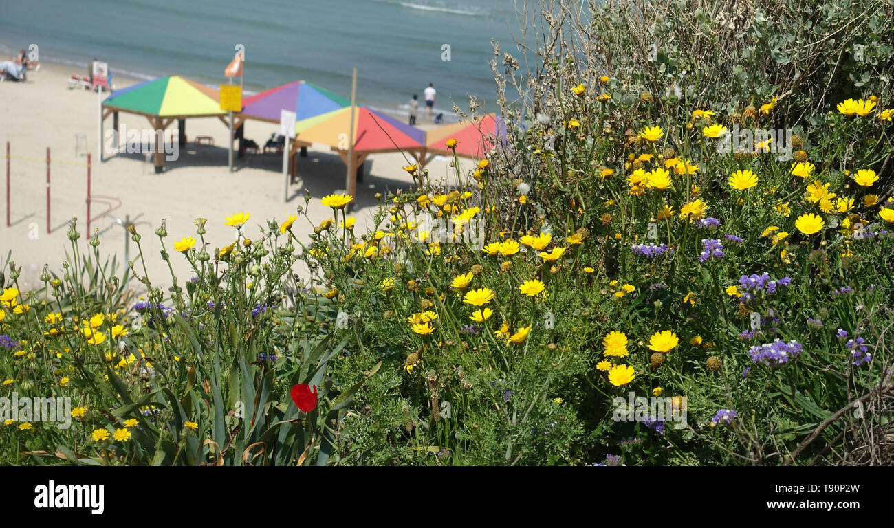 Israël Tel Aviv Beach Banque D'Images