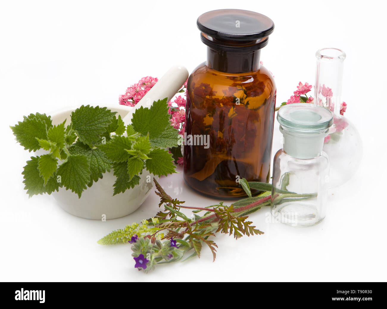 Médicaments à base de plantes - aromathérapie. La thérapie de Bach. Phytothérapie, remèdes homéopathiques. Banque D'Images
