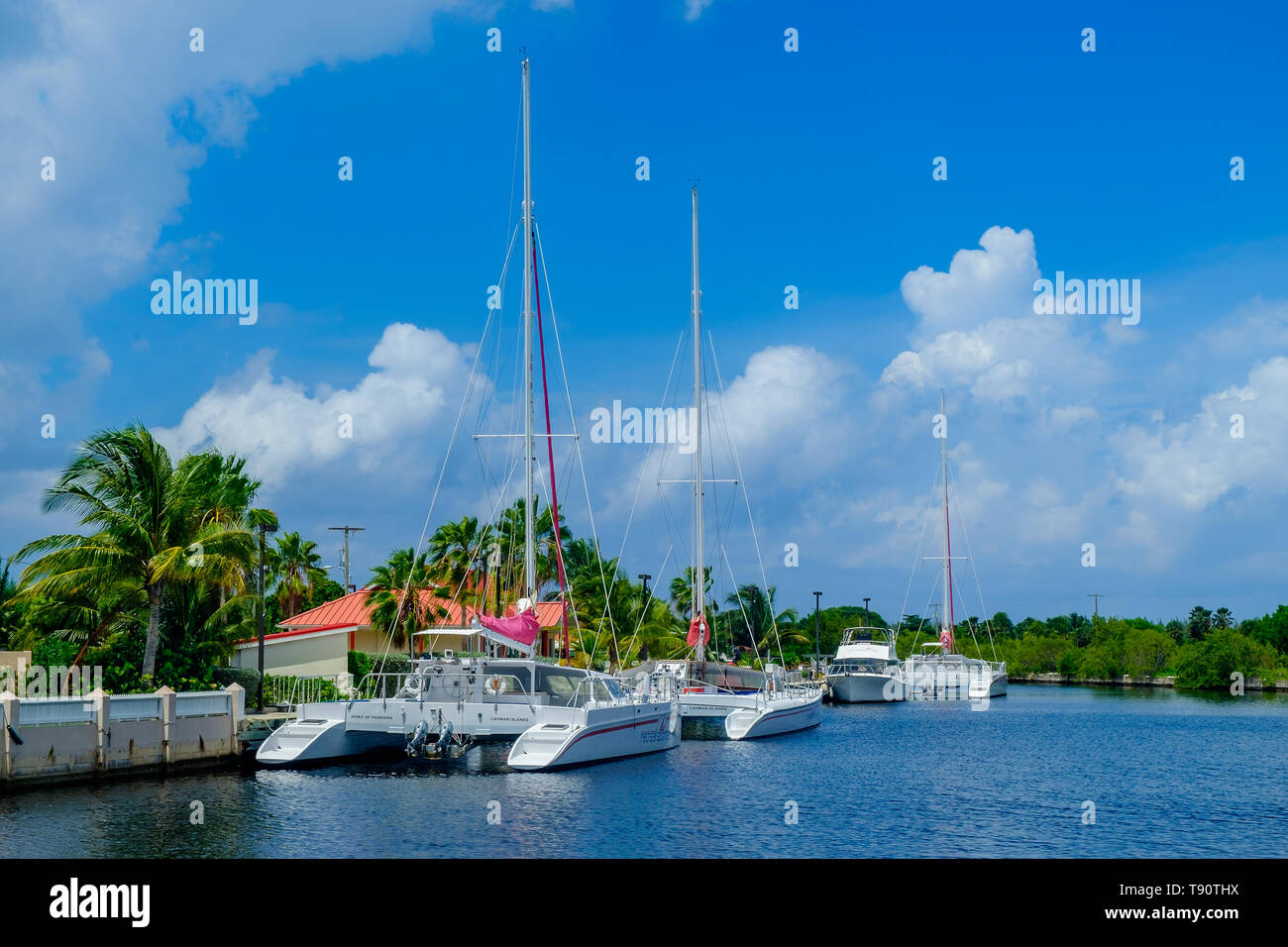 Grand Cayman, îles Caïmans, Sept 2018, Red Sail Sport voiliers amarrés sur la mer des Caraïbes par le bureau de l'entreprise Banque D'Images