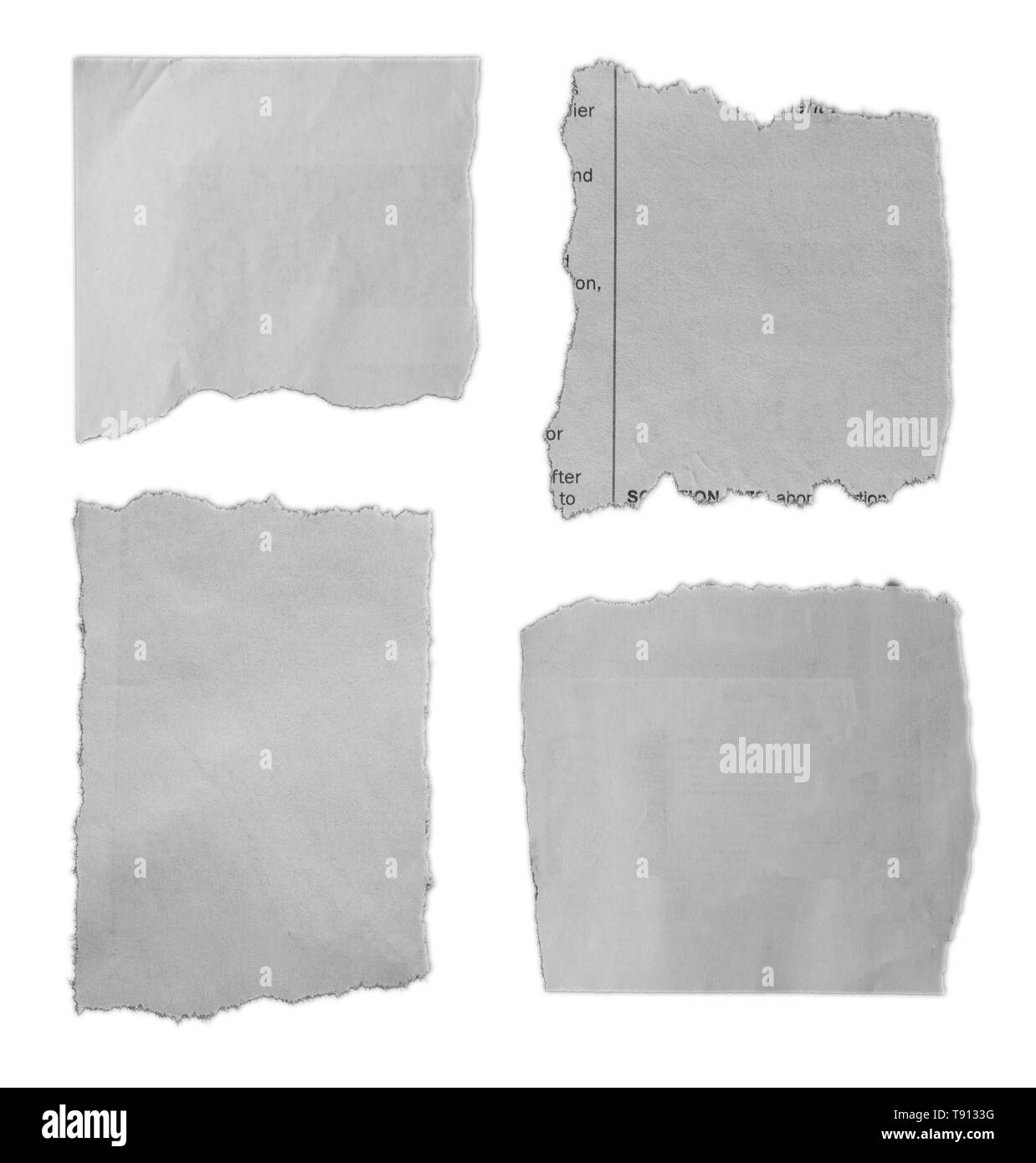 Morceaux de papier déchiré sur fond uni Banque D'Images