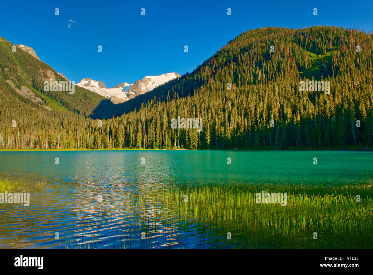 Lac Joffre inférieur, Joffre Lakes Provincial Park, British Columbia, Canada Banque D'Images