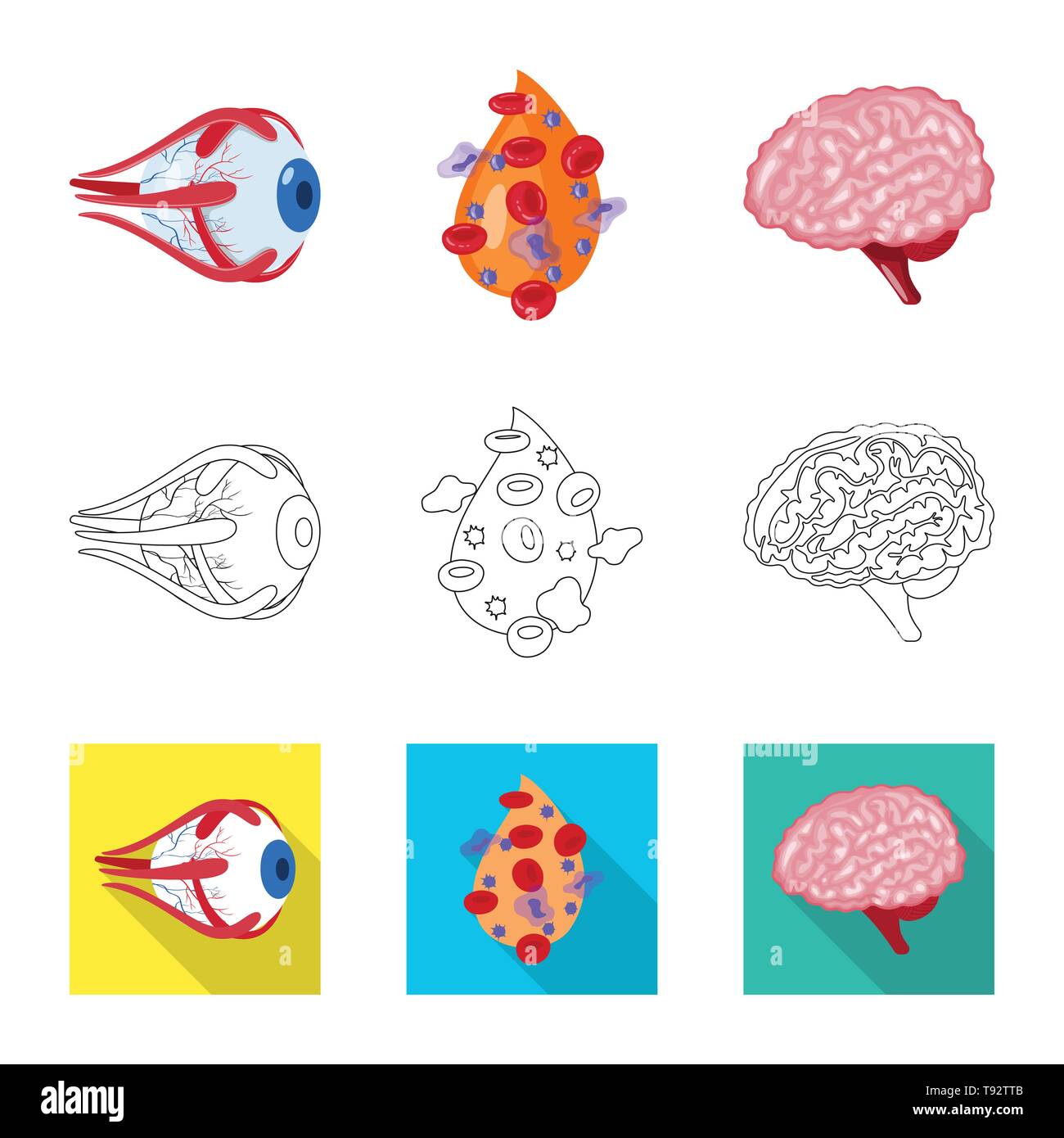 Globe oculaire,,sang,le cerveau,oeil,plasma,esprit cornée,cell,veille stratégique,couches,couvrir,science,don,structure,psychologie,maladie,vue,génie,Protection,moteur,pericranium,pression,traitement,gyrus,wit,génétique,infection prophylaxie,réflexion,biologie,scientifique,recherche,,laboratoire anatomie,organe interne,,médical,des,santé,,set,icône,,illustration,collection,isolé,design,graphisme,élément vecteur vecteurs,signer , Illustration de Vecteur
