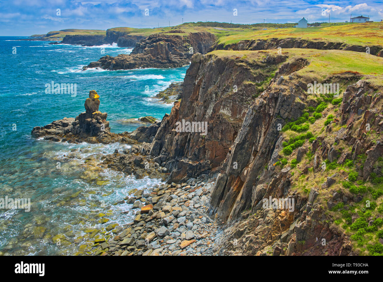 Rivage rocheux à la recherche vers l'Océan Atlantique sur la péninsule de Bonavista. Elliston Terre-Neuve et Labrador Canada Banque D'Images