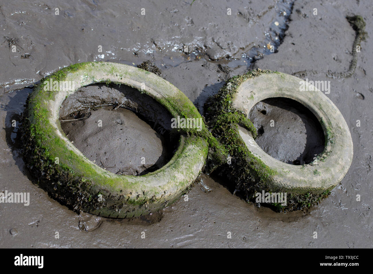 Deux pneus at beach Banque D'Images