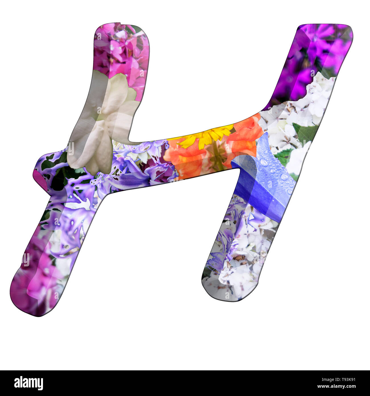 Le Capitole Lettre H Partie d'un ensemble de lettres, chiffres et symboles de l'alphabet en 3D faites avec des images de fleurs colorées sur fond blanc Banque D'Images