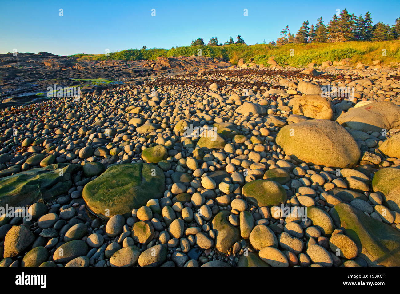 Rivage rocheux le long de la baie de Fundy, à Anse la Farine sur Long Island Nouvelle-écosse Canada DIgby Banque D'Images