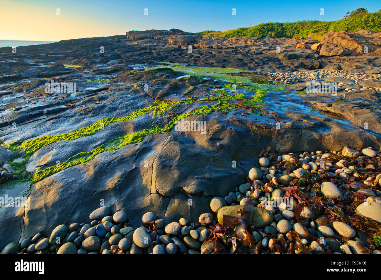 Rivage rocheux le long de la baie de Fundy, à Anse la Farine sur Long Island Nouvelle-écosse Canada DIgby Banque D'Images