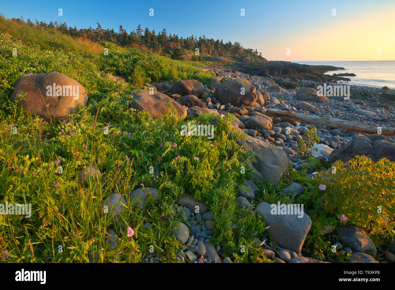 Rivage rocheux le long de la baie de Fundy, à Anse la Farine sur Long Island Nouvelle-écosse Canada DIgby Banque D'Images
