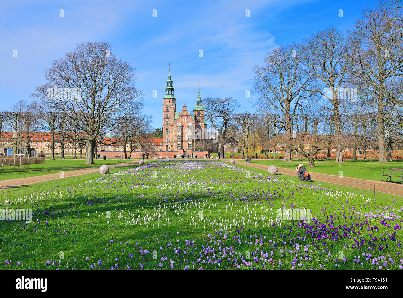 Photographié dans le jardin du roi, densément planté crocus en fleurs en différentes couleurs, faites un vivid Banque D'Images