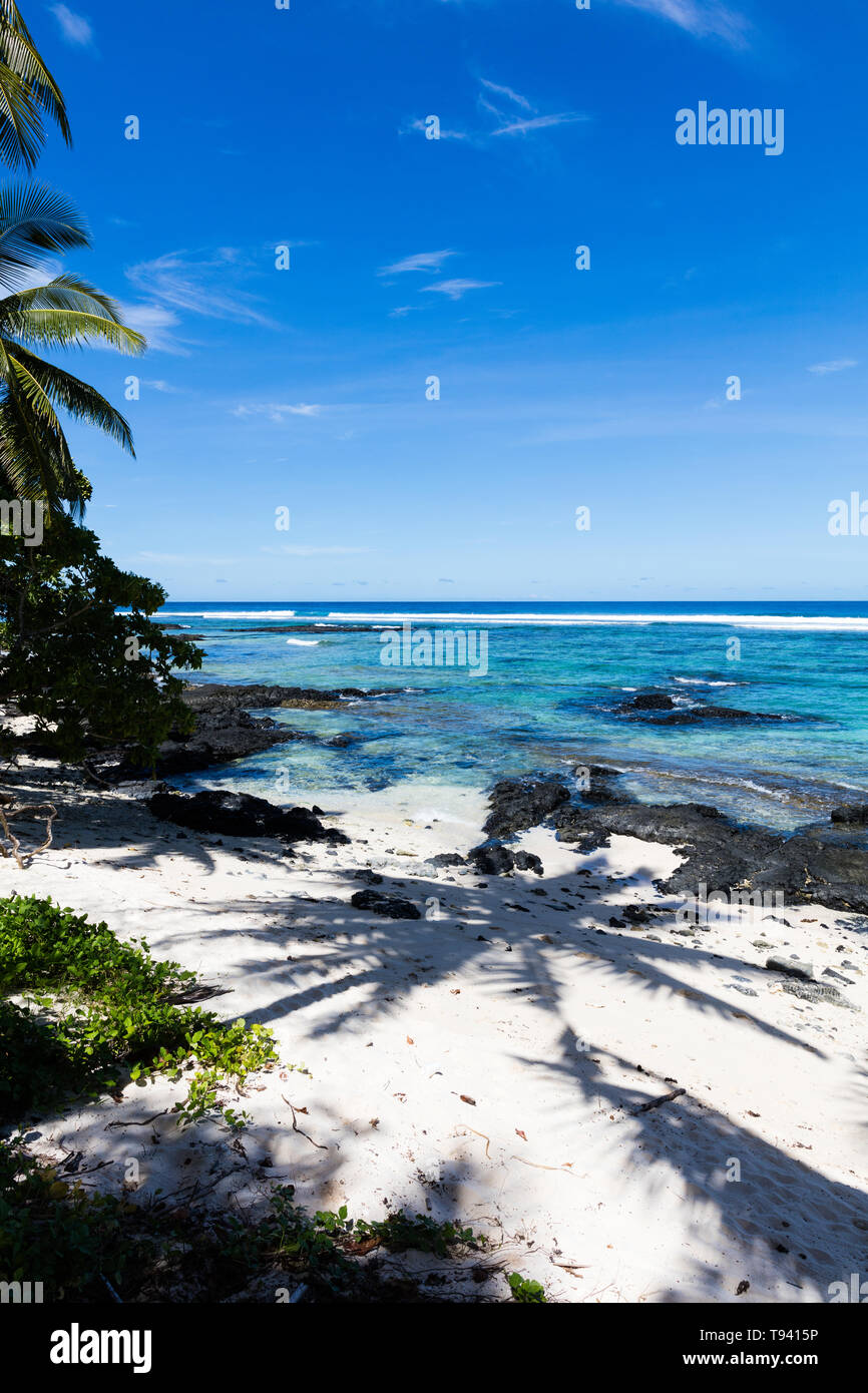 Vue sur le paysage tropical beach en Polynésie avec une parfaite de sable blanc, palmiers, l'ombre des palmiers en premier plan, de l'océan aux eaux turquoises et des b Banque D'Images