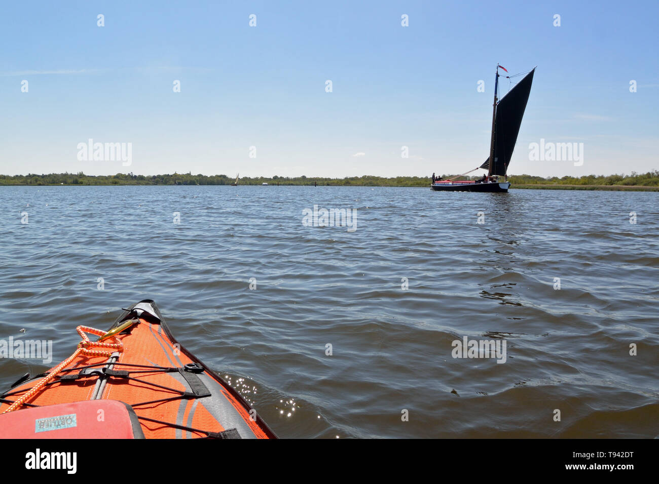 Commercial historique wherry Albion sous voiles sur Barton Broads, vaste Parc National, Norfolk, UK Banque D'Images