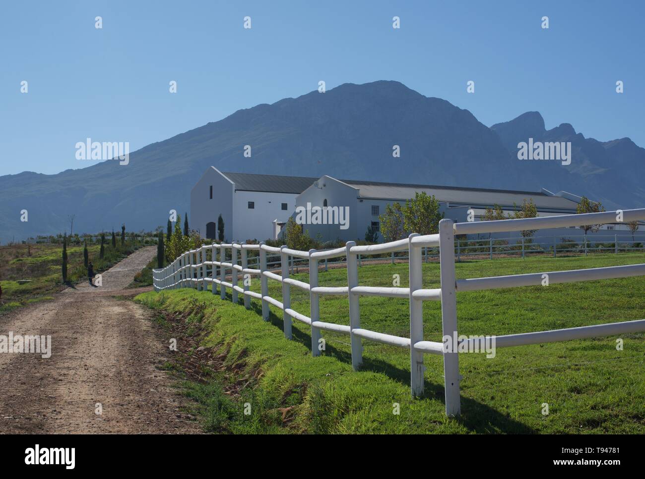 Le Tween Jonge Gezellen Winery, Western Cape Banque D'Images