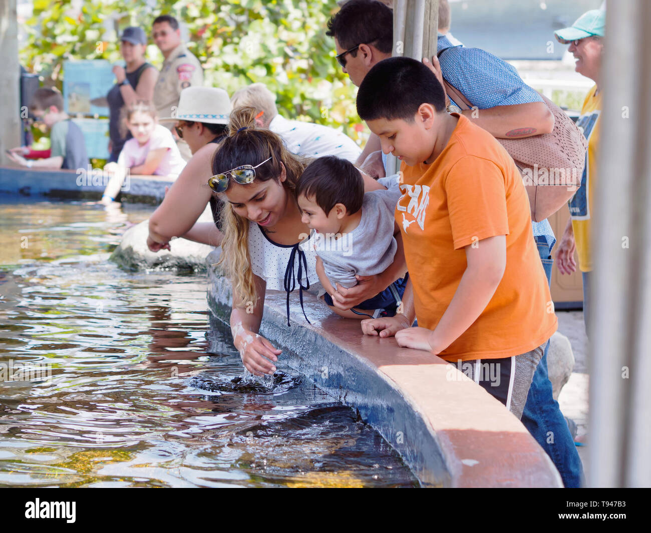 Une femme avec deux enfants à l'extérieur, interactive, Stingray Lagoon la pièce. Texas State Aquarium à Corpus Christi, Texas USA. Banque D'Images