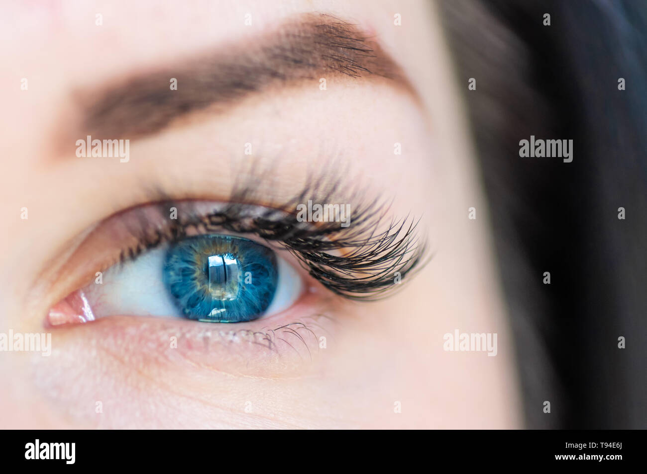 Les yeux bleus. Close-up of a woman's eye. Extensions de Cils Banque D'Images