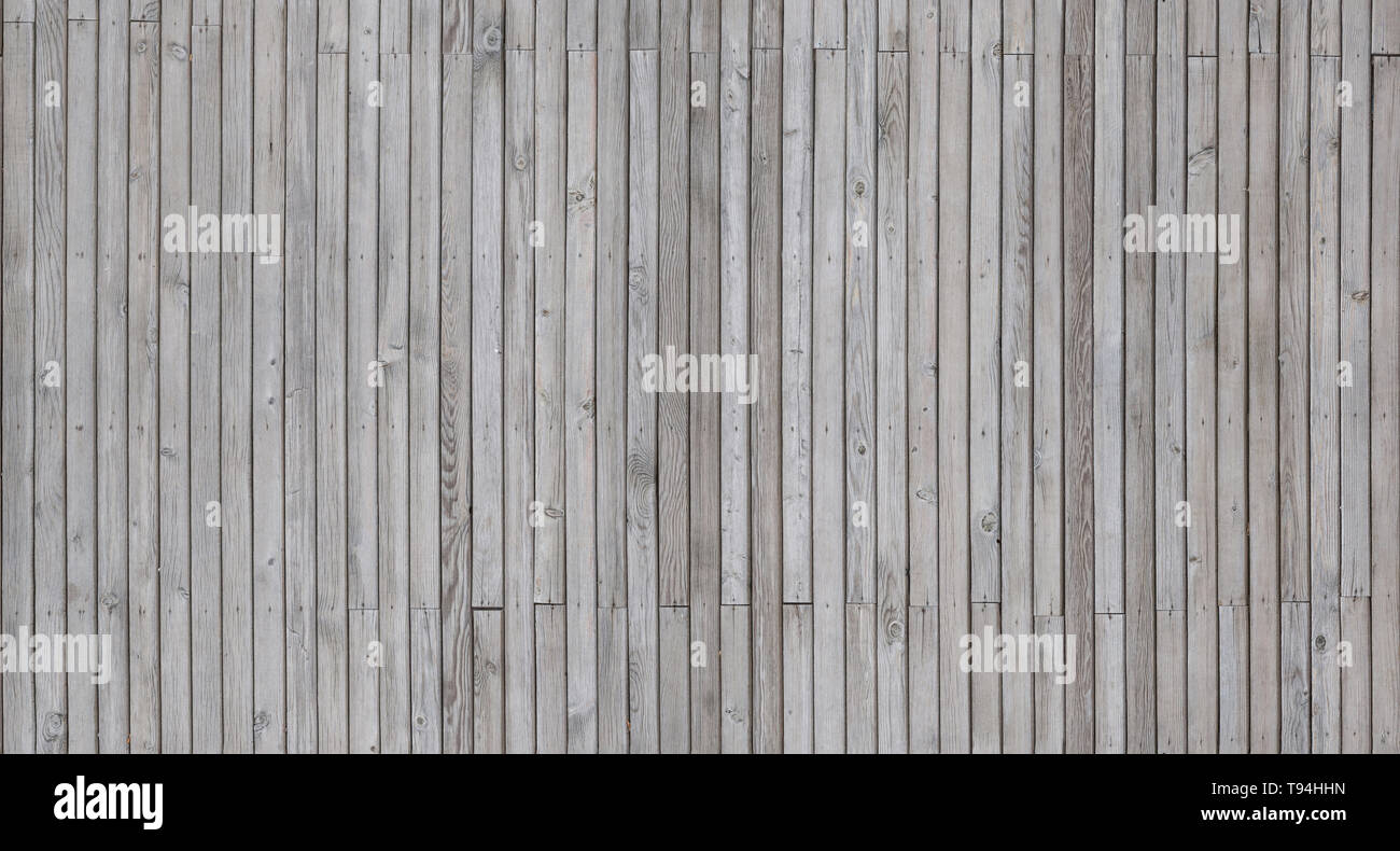 L'image d'arrière-plan avec la texture d'une image d'un arbre. Banque D'Images