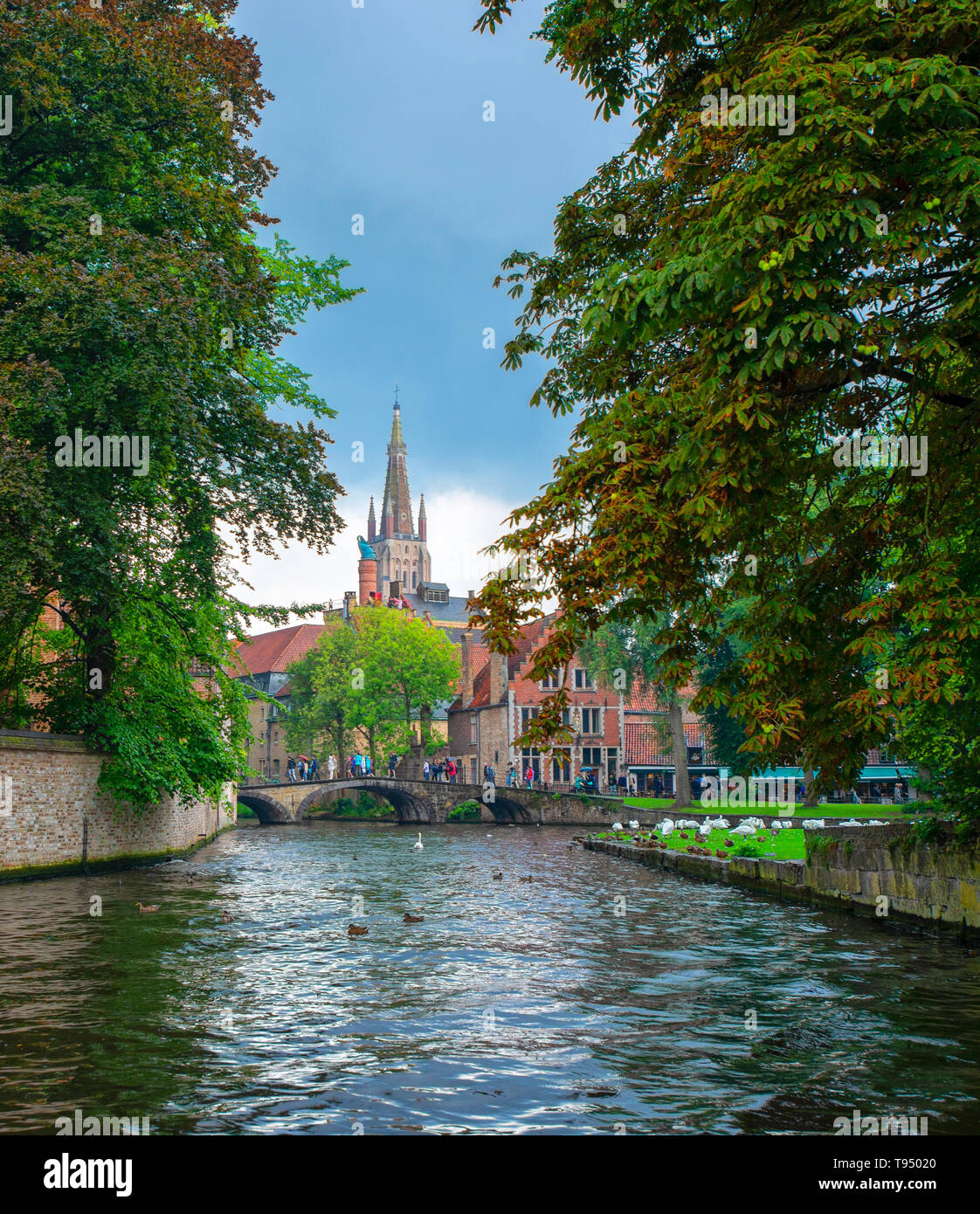 Bruges, Belgique - le 10 août 2017:de cygnes dans le lac d'amour à Bruges, canal vue panoramique près de Begijnhof Banque D'Images