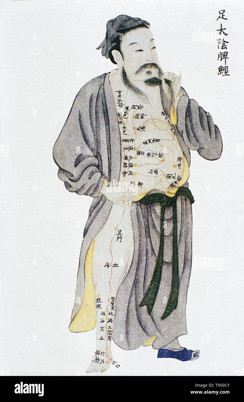 Illustration montrant la rate channel de jambe taiyin de méridiens jingmai Renti tu (Illustrations de la carte du corps humain), un texte manuscrit exécuté au cours de la période de règne de Kangxi de la dynastie des Qing (1662-1722). L'acupuncture est une forme de médecine alternative dans laquelle fines aiguilles sont insérées dans le corps. C'est un élément clé de la médecine traditionnelle chinoise (MTC). La théorie et la pratique de la MCT ne sont pas fondés sur les connaissances scientifiques, et l'acupuncture est une pseudoscience. Banque D'Images