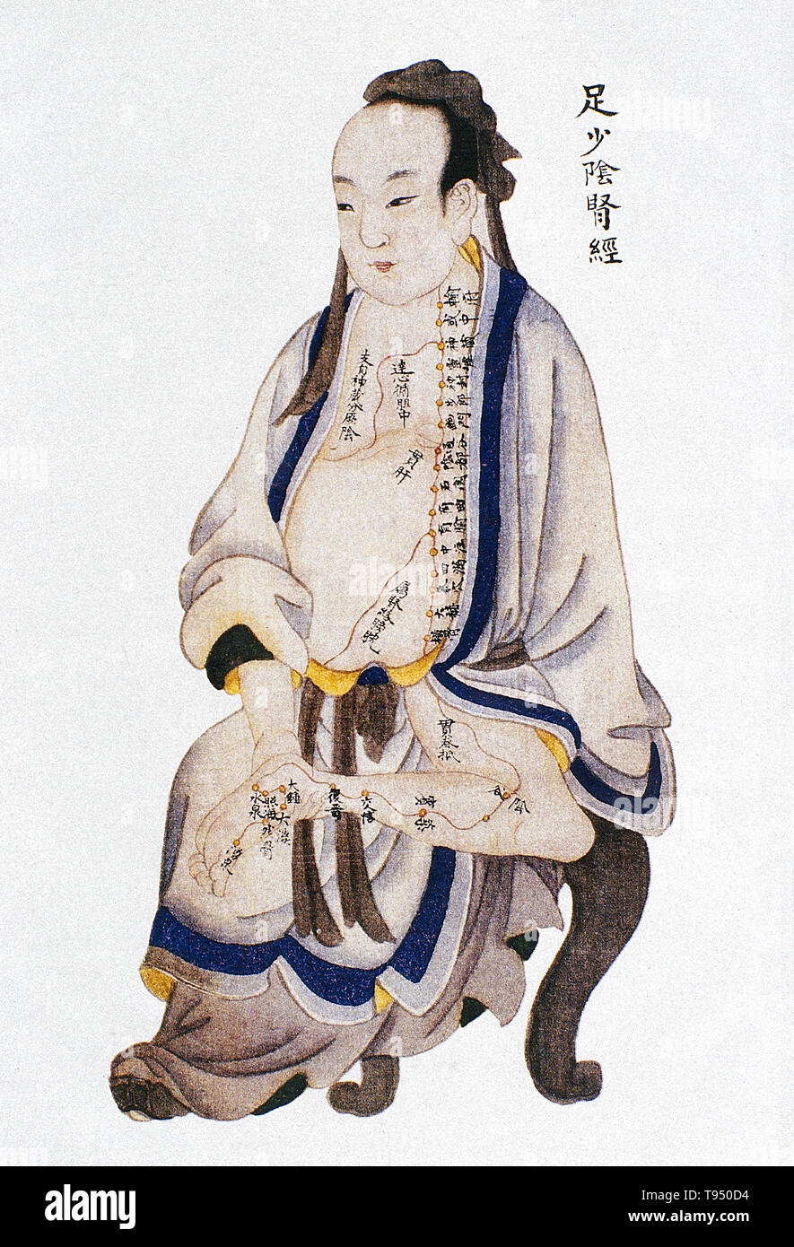 Illustration montrant la voie rénale de jambe shaoyin de méridiens jingmai Renti tu (Illustrations de la carte du corps humain), un texte manuscrit exécuté au cours de la période de règne de Kangxi de la dynastie des Qing (1662-1722). L'acupuncture est une forme de médecine alternative dans laquelle fines aiguilles sont insérées dans le corps. C'est un élément clé de la médecine traditionnelle chinoise (MTC). La théorie et la pratique de la MCT ne sont pas fondés sur les connaissances scientifiques, et l'acupuncture est une pseudoscience. Banque D'Images