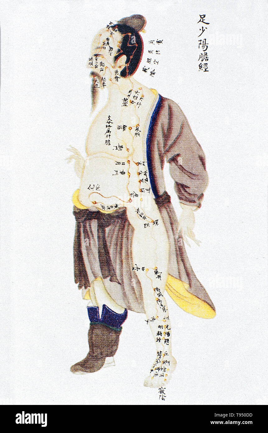 Illustration montrant la vésicule biliaire canal de jambe de shaoyang méridiens jingmai Renti tu (Illustrations de la carte du corps humain), un texte manuscrit exécuté au cours de la période de règne de Kangxi de la dynastie des Qing (1662-1722). L'acupuncture est une forme de médecine alternative dans laquelle fines aiguilles sont insérées dans le corps. C'est un élément clé de la médecine traditionnelle chinoise (MTC). La théorie et la pratique de la MCT ne sont pas fondés sur les connaissances scientifiques, et l'acupuncture est une pseudoscience. Banque D'Images