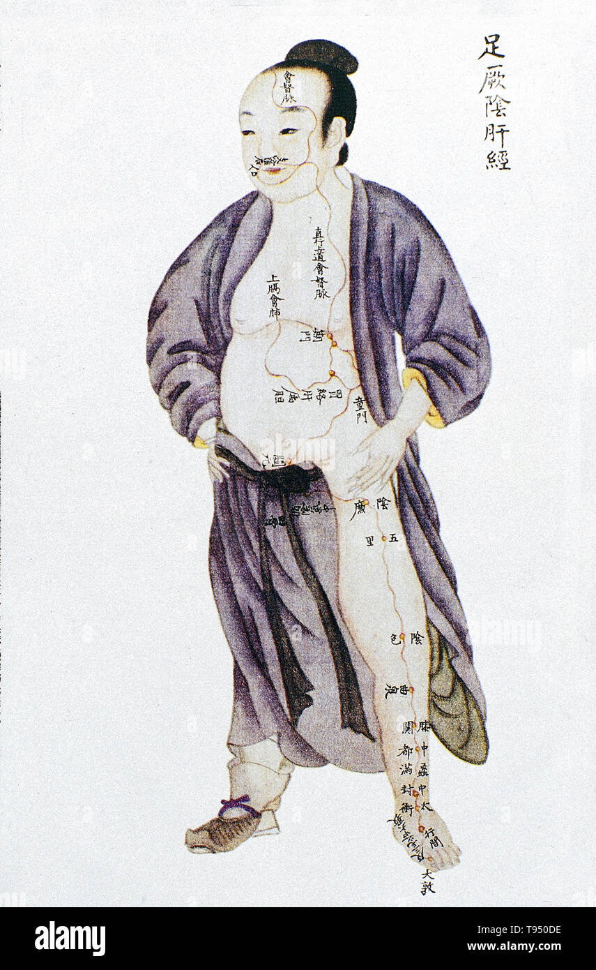 Illustration du canal hépatique de jambe jueyin de méridiens jingmai Renti tu (Illustrations de la carte du corps humain), un texte manuscrit exécuté au cours de la période de règne de Kangxi de la dynastie des Qing (1662-1722). L'acupuncture est une forme de médecine alternative dans laquelle fines aiguilles sont insérées dans le corps. C'est un élément clé de la médecine traditionnelle chinoise (MTC). La théorie et la pratique de la MCT ne sont pas fondés sur les connaissances scientifiques, et l'acupuncture est une pseudoscience. Banque D'Images