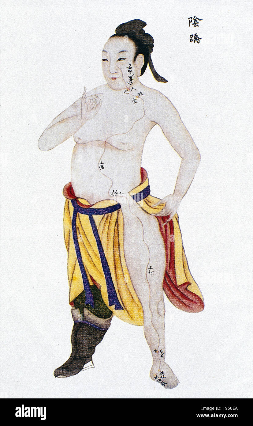 Illustration montrant le bon talon (Yin) à partir des méridiens jingmai Renti tu (Illustrations de la carte du corps humain), un texte manuscrit exécuté au cours de la période de règne de Kangxi de la dynastie des Qing (1662-1722). L'acupuncture est une forme de médecine alternative dans laquelle fines aiguilles sont insérées dans le corps. C'est un élément clé de la médecine traditionnelle chinoise (MTC). La théorie et la pratique de la MCT ne sont pas fondés sur les connaissances scientifiques, et l'acupuncture est une pseudoscience. Banque D'Images