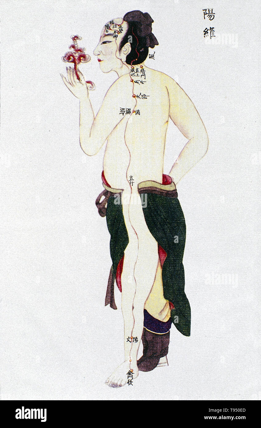 Illustration montrant l'yangwei (yang) à partir des méridiens jingmai Renti tu (Illustrations de la carte du corps humain), un texte manuscrit exécuté au cours de la période de règne de Kangxi de la dynastie des Qing (1662-1722). L'acupuncture est une forme de médecine alternative dans laquelle fines aiguilles sont insérées dans le corps. C'est un élément clé de la médecine traditionnelle chinoise (MTC). La théorie et la pratique de la MCT ne sont pas fondés sur les connaissances scientifiques, et l'acupuncture est une pseudoscience. Banque D'Images