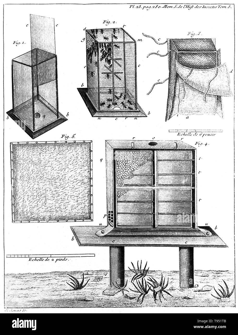 Une gravure du xviiie siècle de l'apiculture, montrant des ruches, 1740. Illustration par René Antoine FERCHAULT DE RÉAUMUR (Février 28, 1683 - Octobre 17, 1757) un scientifique français qui a contribué à de nombreux domaines, en particulier l'étude des insectes. En 1699, il a étudié le droit civil et les mathématiques. En 1703, il se rendit à Paris, où il a continué l'étude des mathématiques et de la physique, et en 1708 a été élu, à l'âge de 24 ans, un membre de l'Académie des Sciences. Banque D'Images