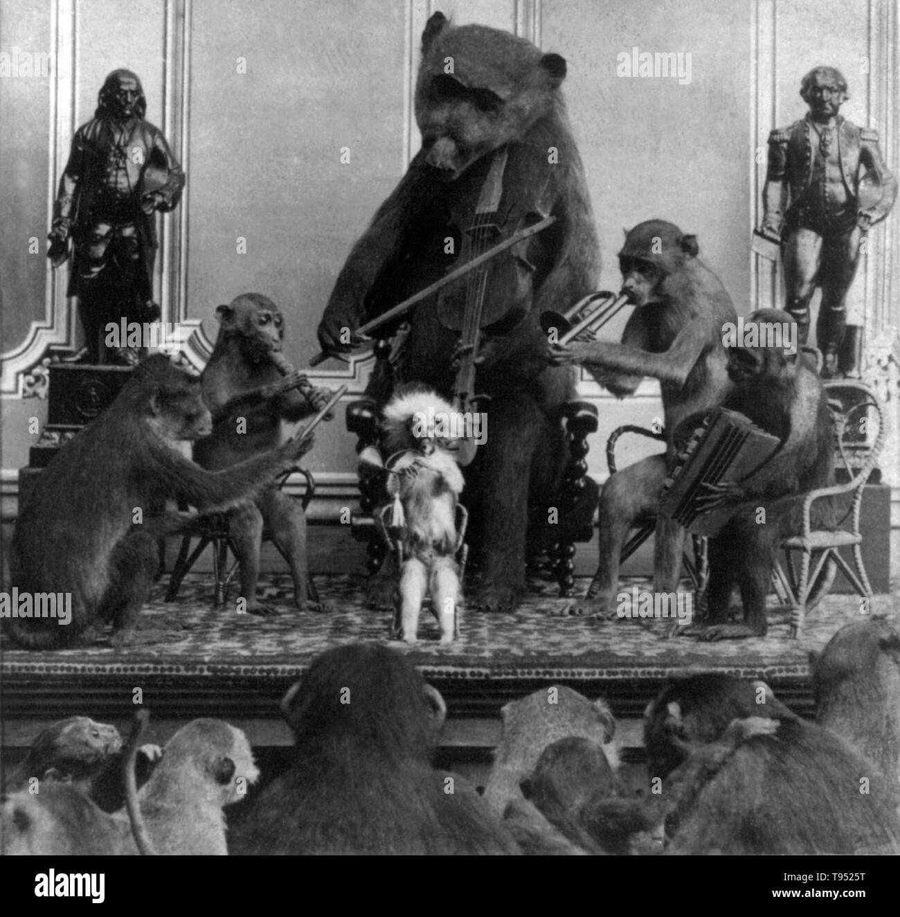 Intitulé : 'Music a charmes pour apaiser la bête sauvage' montre mounted animals avec des singes jouant des instruments de musique et d'une réplique d'ours avec un violon. Photographié par Eugène S.M. Haines, 1870. Banque D'Images