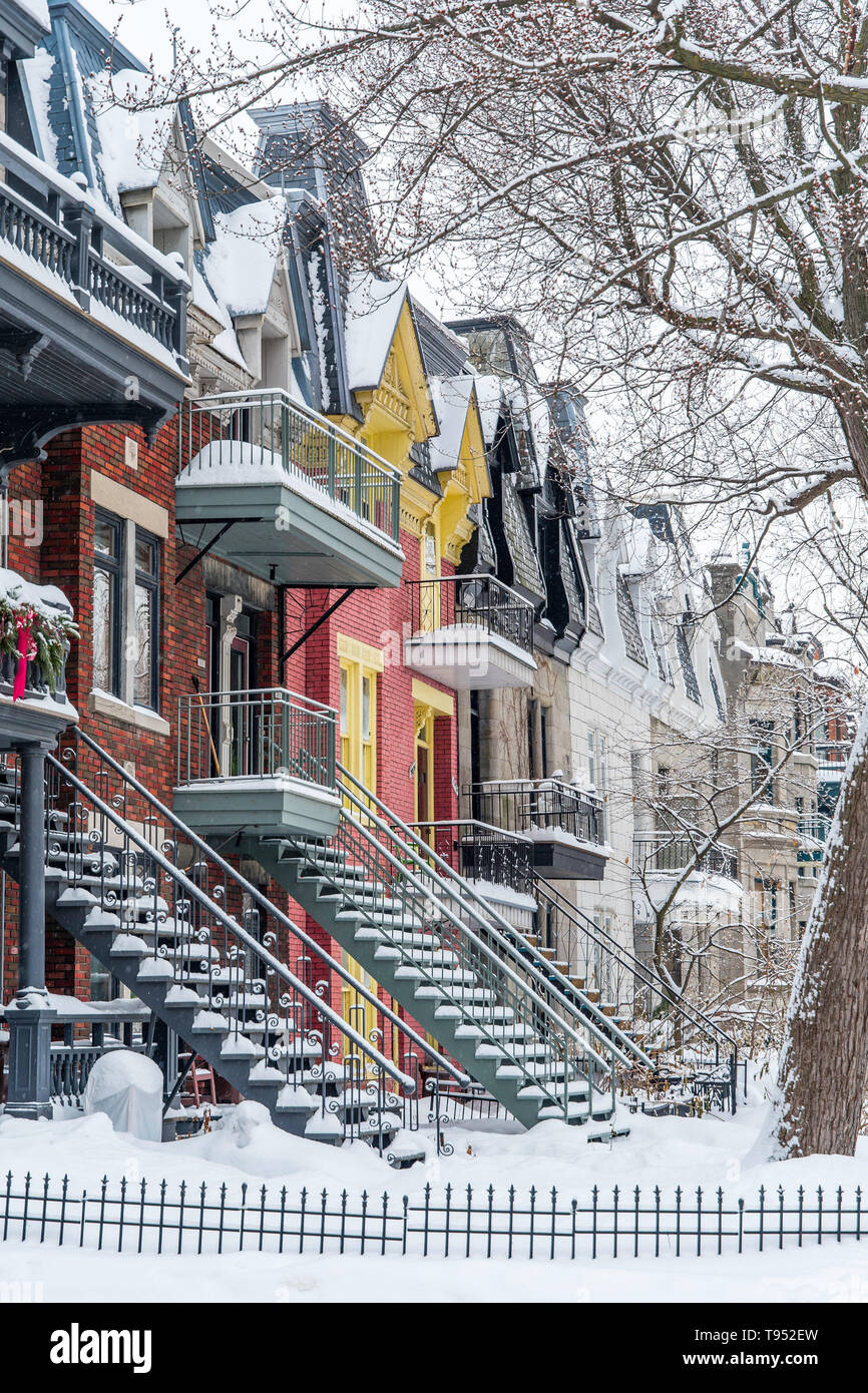 Portrait photo de maisons colorées dans un quartier calme après une tempête. Tourné près de Square Saint-Louis, Plateau Mont-Royal, Montréal, Québec, Canada Banque D'Images
