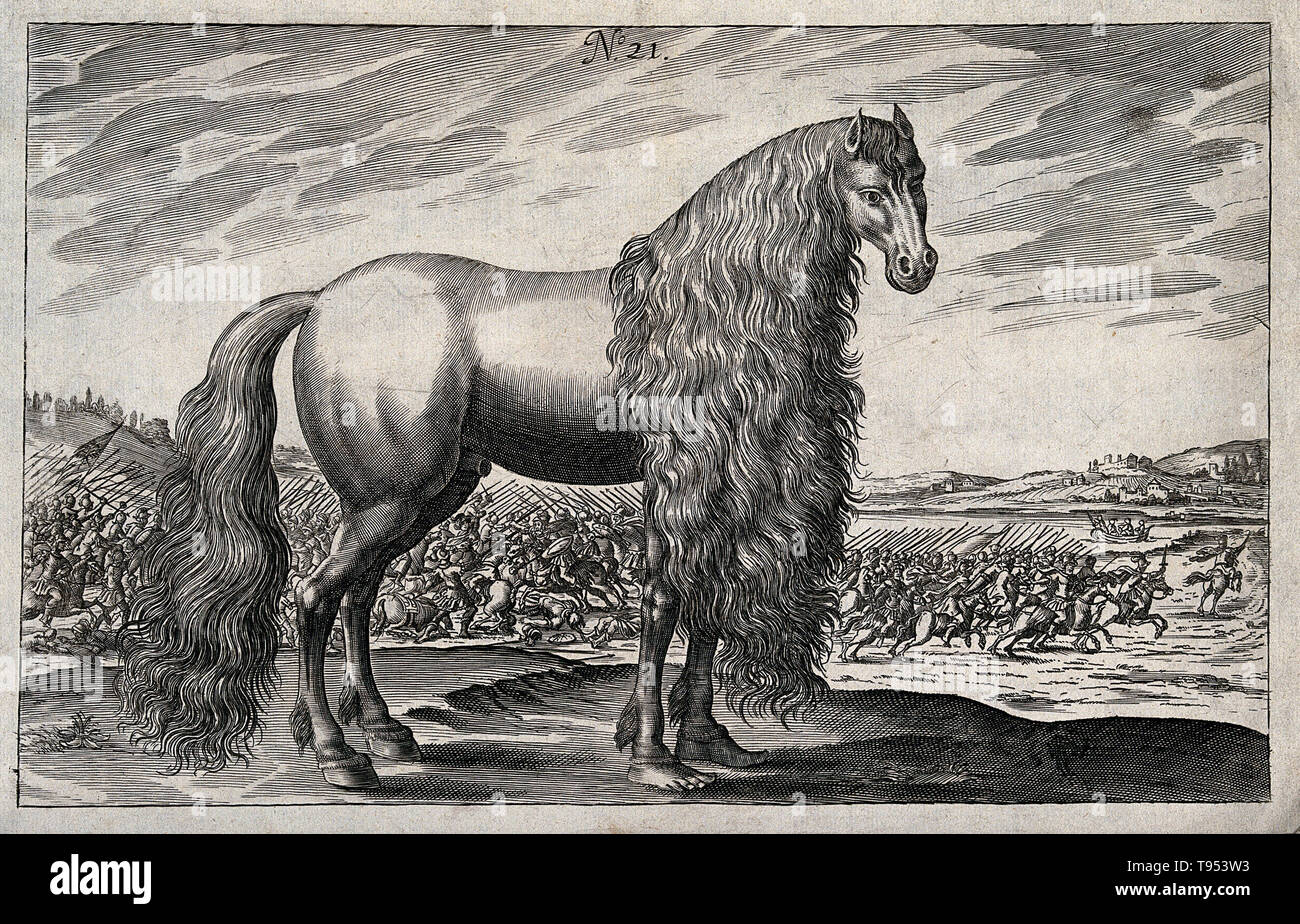 Un cheval avec une longue crinière et des pieds à la fin de ses pattes avant, près d'une bataille. Gravure historique de 1720. Banque D'Images Un cheval avec une longue crinière et des pieds à la fin de ses pattes avant, près d'une bataille. Gravure historique de 1720. Banque D'Images