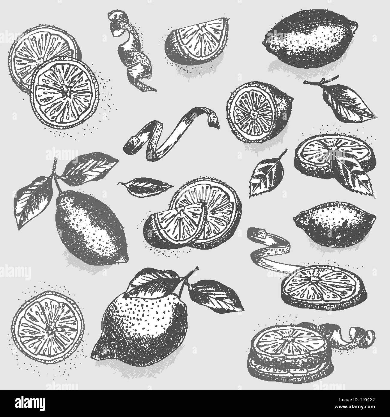 Lemon Zest Illustration Banque D Image Et Photos Alamy