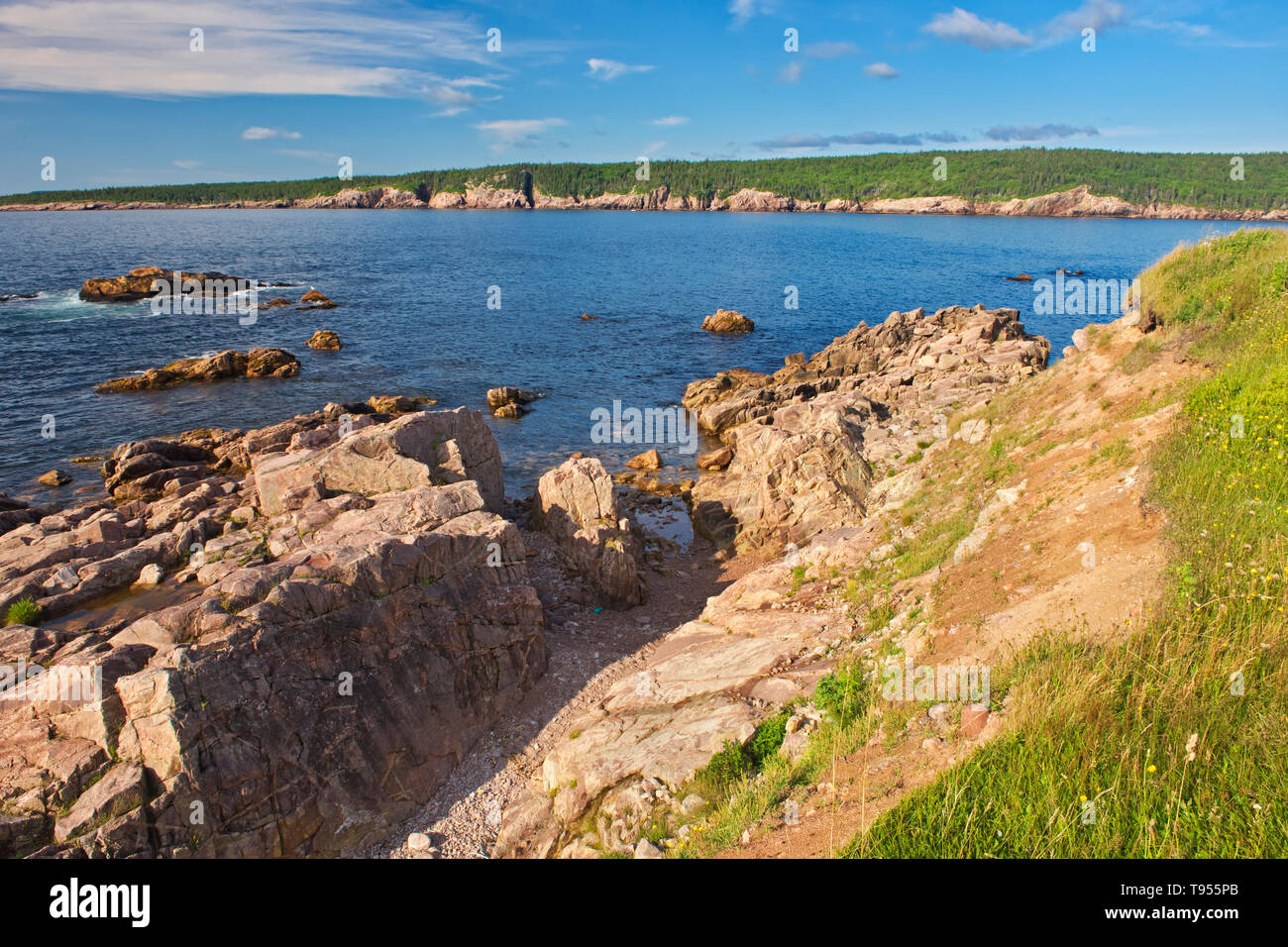 Côte rocheuse le long du détroit de Cabot. Cabot Trail. L'île du Cap-Breton. Chaîne de montagnes des Appalaches Neils Harbour Nova Scotia Canada Banque D'Images