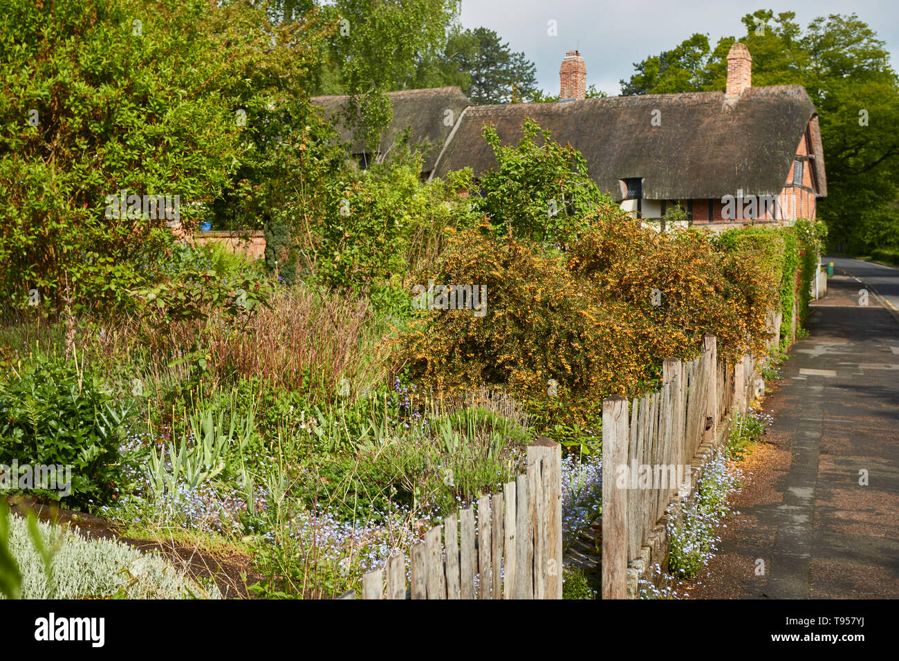 Anne Hathaway's cottage anglais, Shottery historique près de Stratford sur Avon, dans le Warwickshire, Angleterre, Royaume-Uni, Europe Banque D'Images