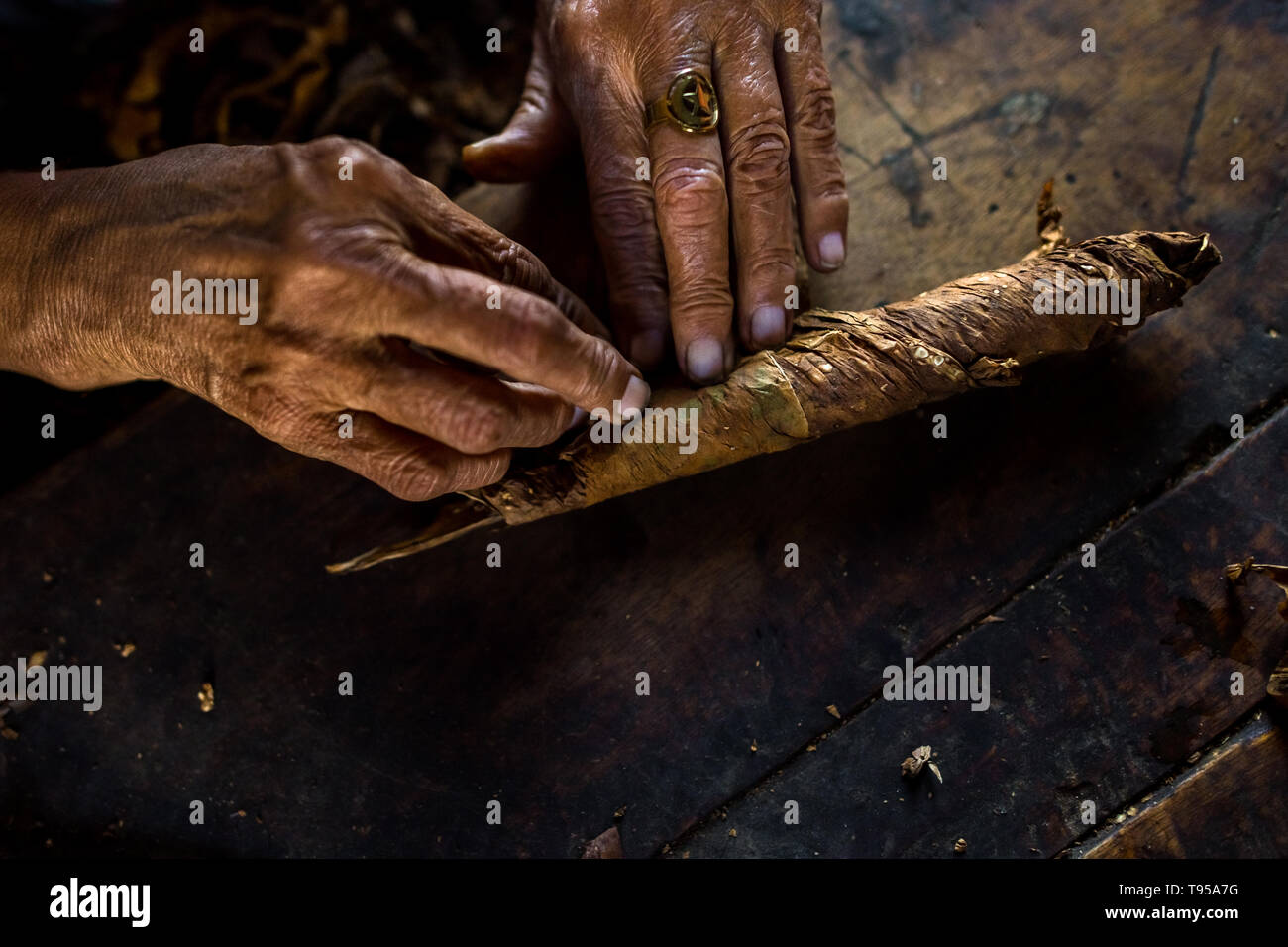 Mains de Laura Peña, un 67-ans femme salvadorienne, sont considérés tout en roulant les feuilles de tabac, cigares faits à la main pour rendre à Suchitoto, El Salvador. Banque D'Images Mains de Laura Peña, un 67-ans femme salvadorienne, sont considérés tout en roulant les feuilles de tabac, cigares faits à la main pour rendre à Suchitoto, El Salvador. Banque D'Images