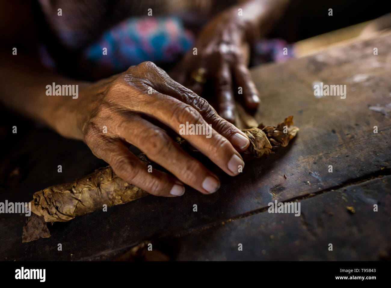 Mains de Laura Peña, un 67-ans femme salvadorienne, sont considérés tout en roulant les feuilles de tabac, cigares faits à la main pour rendre à Suchitoto, El Salvador. Banque D'Images Mains de Laura Peña, un 67-ans femme salvadorienne, sont considérés tout en roulant les feuilles de tabac, cigares faits à la main pour rendre à Suchitoto, El Salvador. Banque D'Images
