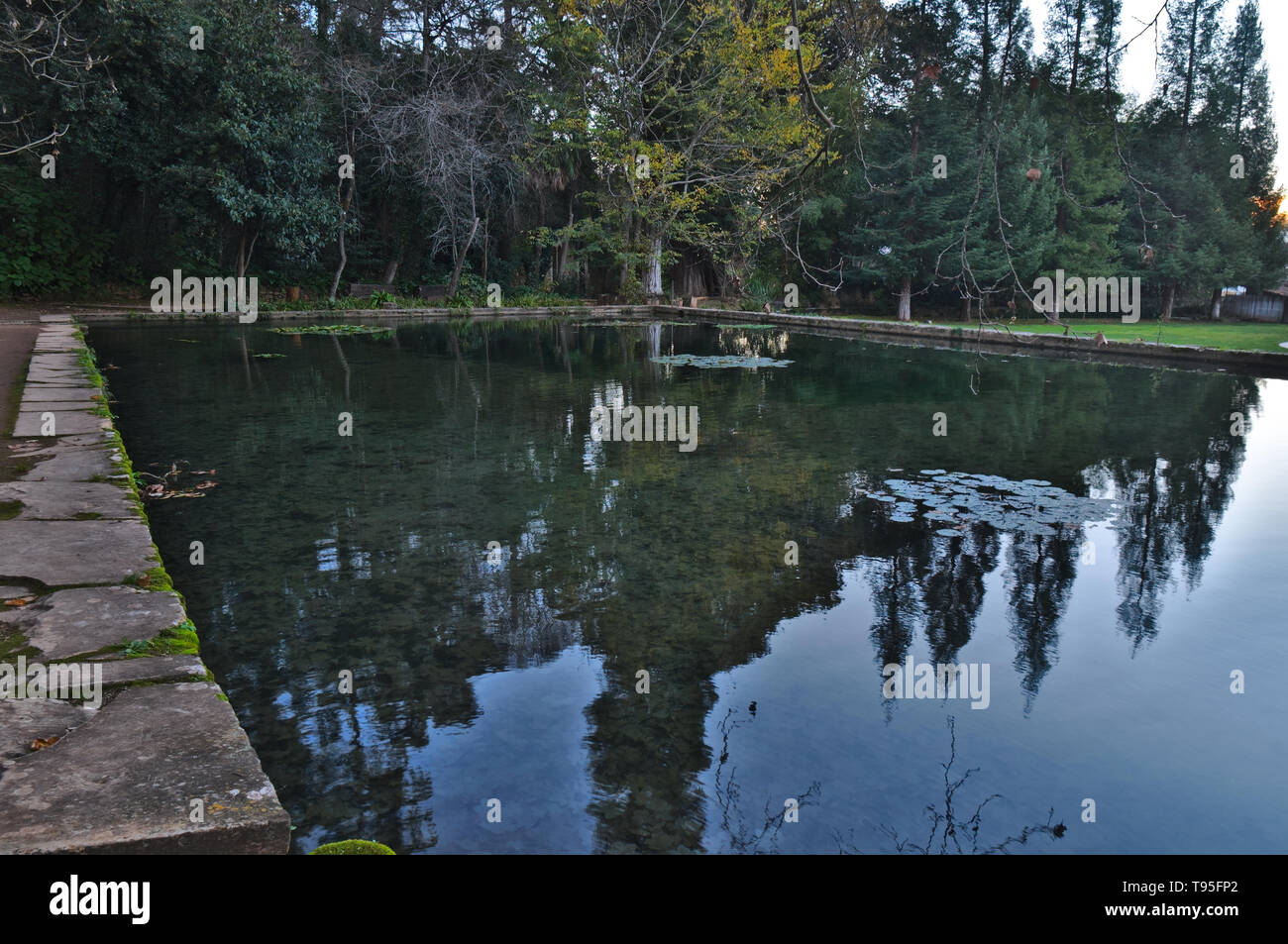 Quinta das Lagrimas étang dans le jardin. Coimbra, Portugal Banque D'Images